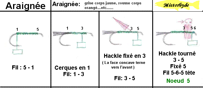 Image: araignoj3.gif